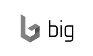 big Logo
